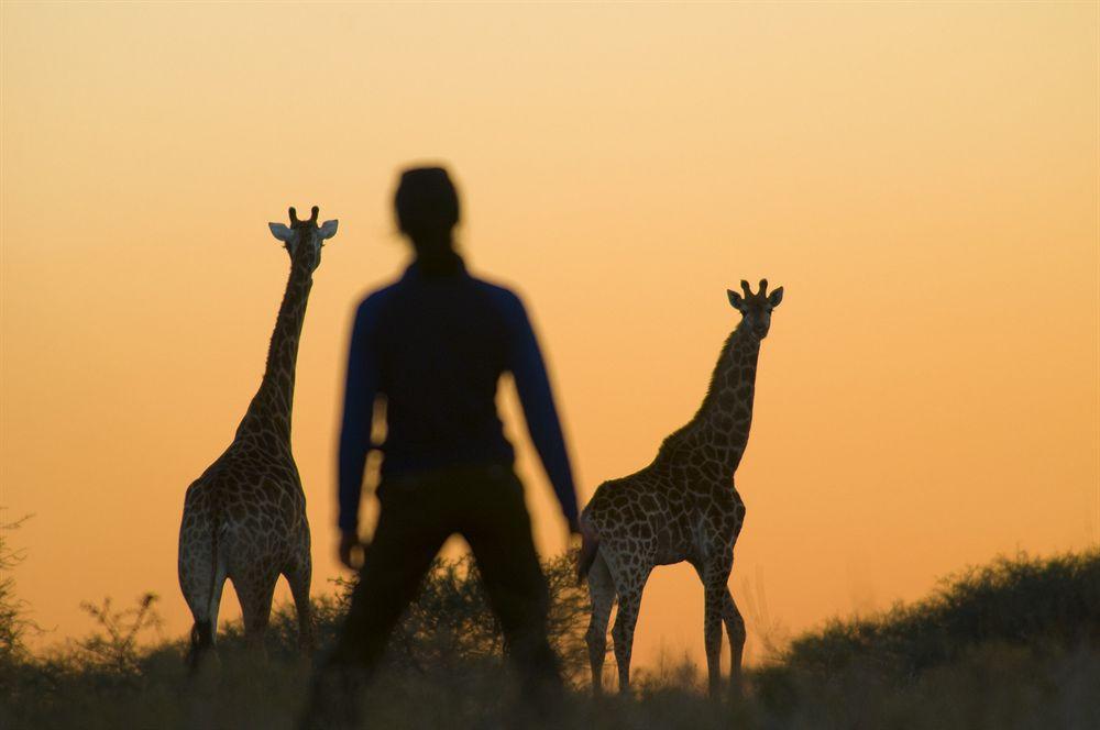 Kubu Safari Lodge Hoedspruit Eksteriør bilde