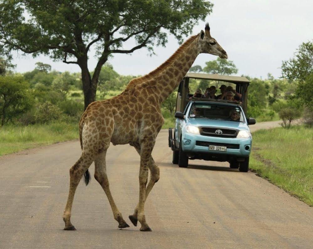 Kubu Safari Lodge Hoedspruit Eksteriør bilde
